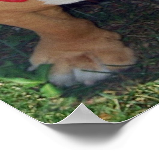 BULLY FREE ZONE 52" x 35"ポスター ポスター (角)