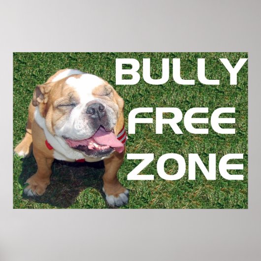 BULLY FREE ZONE 52" x 35"ポスター ポスター (正面)