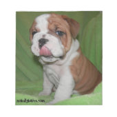 Bully Love Bulldogメモ帳 ノートパッド (正面)