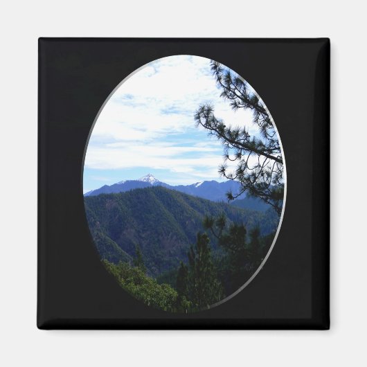 Bully Schupビュー…..... マグネット (正面)