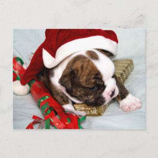 BullyBreeze – スポット・ザ・ドット – ギフト・タイム – はがき