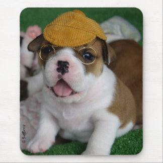 BullyBreeze -冷え- Chillinのマウスパッド マウスパッド