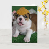 BullyBreeze -冷え- Chillinの挨拶状 カード (黄色い花)