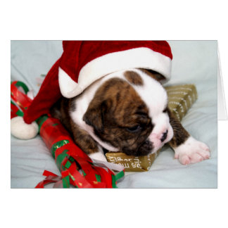 BullyBreeze – 点を見つける – ギフト時間 – カード