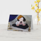 BullyBreeze - Pania -勉強時間 – グリーティングカード (黄色い花)