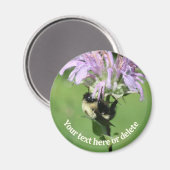 Bumble Bee On Bee Balm Flower Personalized マグネット (正面/裏面)