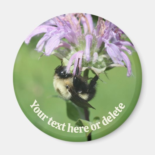 Bumble Bee On Bee Balm Flower Personalized マグネット (正面)