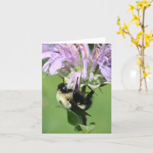 Bumble Bee On Bee Balm Flower Photography Note カード (黄色い花)