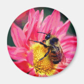 Bumble Bee On Pink Daisy Flower Art マグネット (正面)