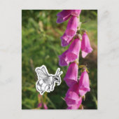 Bumblebee ポストカード (正面)