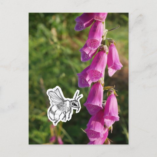 Bumblebee ポストカード (正面)