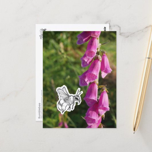 Bumblebee ポストカード (正面/裏面インサイチュ)