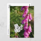 Bumblebee ポストカード (正面/裏面)