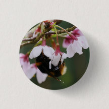 Bumblebee in Blossom Badge
