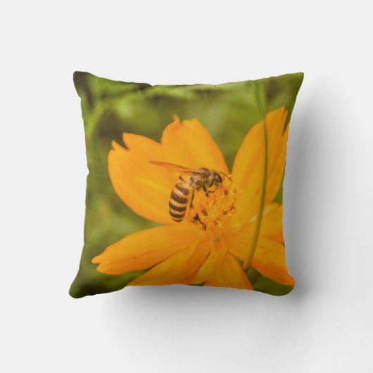Bumblebee on a Sulfur Cosmos クッション (裏面)