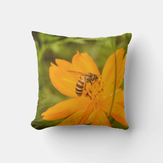 Bumblebee on a Sulfur Cosmos クッション (正面)
