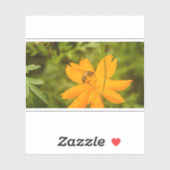 Bumblebee on a Sulfur Cosmos シール (シート)