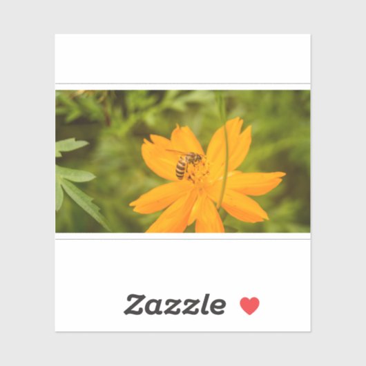 Bumblebee on a Sulfur Cosmos シール (シート)