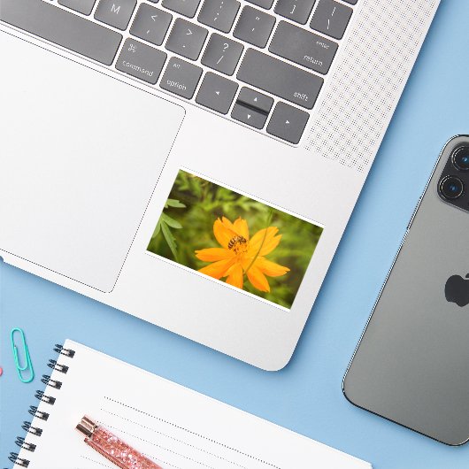 Bumblebee on a Sulfur Cosmos シール (ノートパソコンとiPhone)