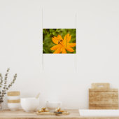 Bumblebee on a Sulfur Cosmos ポスター (キッチン)