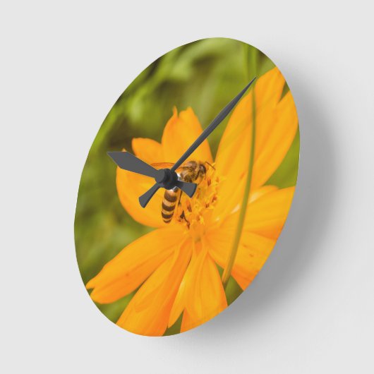 Bumblebee on a Sulfur Cosmos ラウンド壁時計 (傾斜)