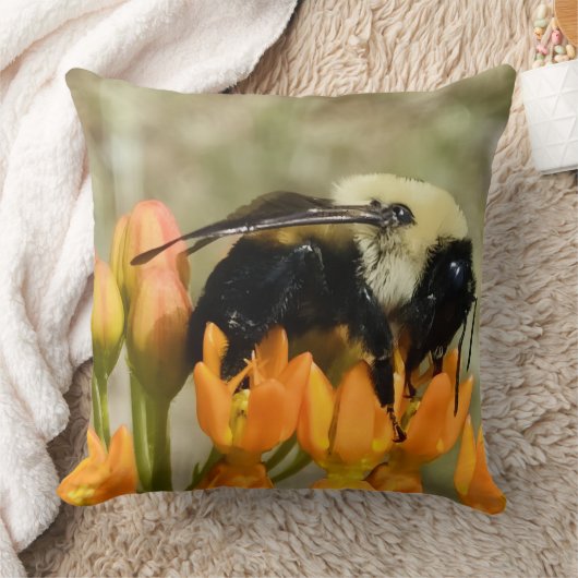 Bumblebee on Butterfly Weed クッション (ブランケット)
