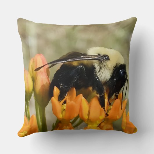 Bumblebee on Butterfly Weed クッション (裏面)