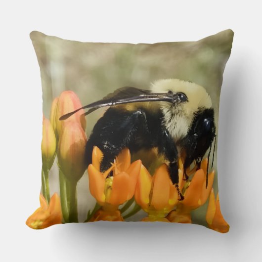 Bumblebee on Butterfly Weed クッション (正面)