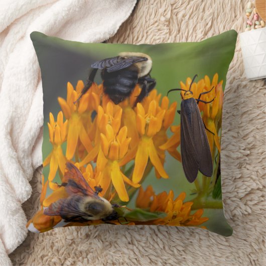 Bumblebee on Butterfly Weed クッション (ブランケット)