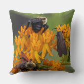 Bumblebee on Butterfly Weed クッション (裏面)