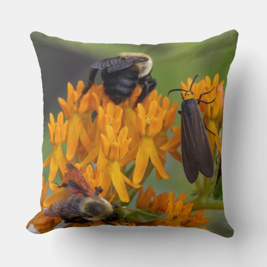 Bumblebee on Butterfly Weed クッション (正面)