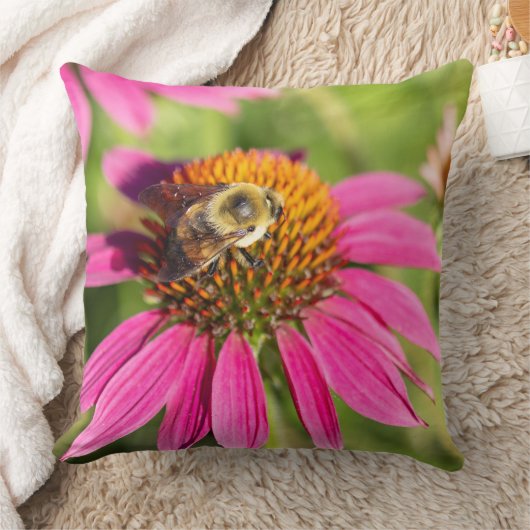 Bumblebee on Pink Coneflower クッション (ブランケット)