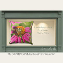 Bumblebee on Pink Coneflower
