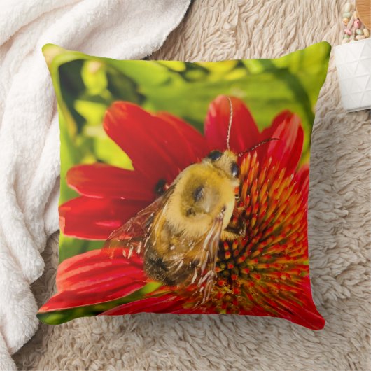 Bumblebee on Red Coneflower クッション (ブランケット)