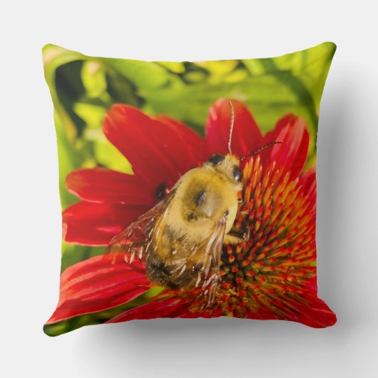Bumblebee on Red Coneflower クッション (裏面)