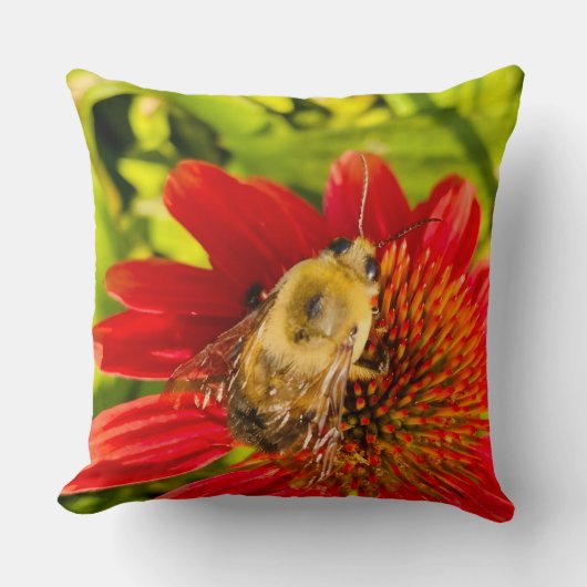 Bumblebee on Red Coneflower クッション (正面)