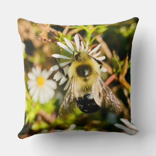 Bumblebee on Wildflower クッション (裏面)