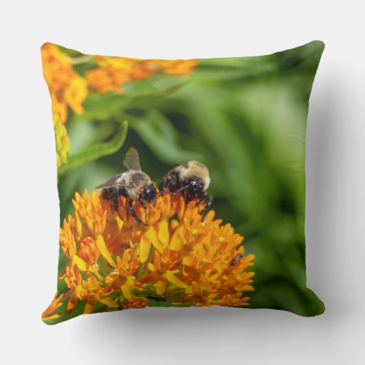 Bumblebees on Butterfly Weed クッション (裏面)