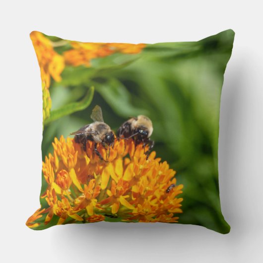 Bumblebees on Butterfly Weed クッション (正面)