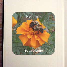 Bumblebees on Marigold Bookplate スクエアシール