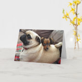 Bumblesnotの挨拶状: 私はあなたの背部を持っています! カード (黄色い花)