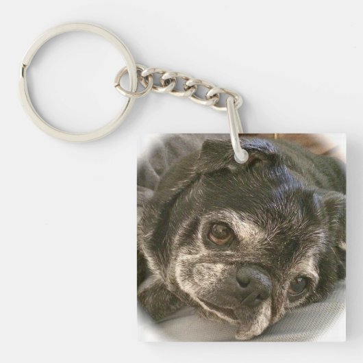 Bumblesnotのkeychain: Puggyか。 キーホルダー (正面)