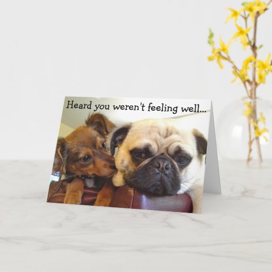 Bumblesnotカード: 聞かれるよく感じていませんでした カード (黄色い花)