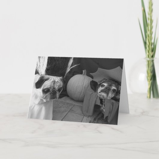 Bumblesnotハロウィンカード: あなたの綴り カード (正面)