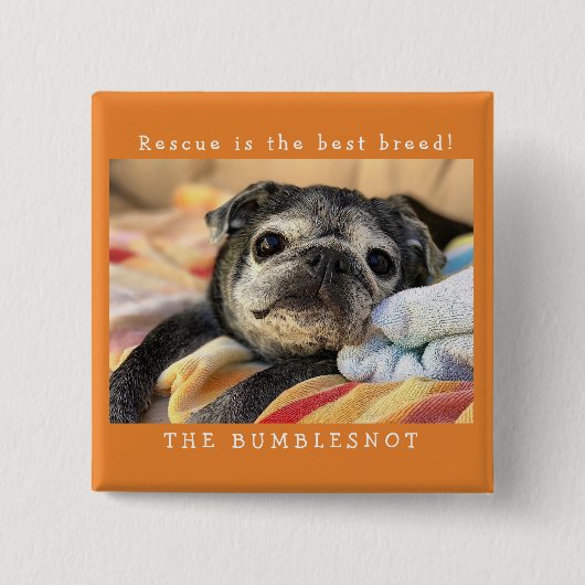 Bumblesnotボタン: 救助は最も最高のな品種です! 缶バッジ (正面)