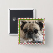 Bumblesnotボタン: Itsyのパグか救助は愛です 缶バッジ (正面&裏面)