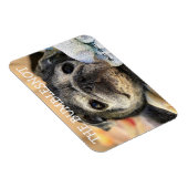 Bumblesnot磁石：スナートスナート マグネット (右側)