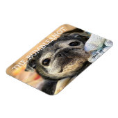 Bumblesnot磁石：スナートスナート マグネット (左側)