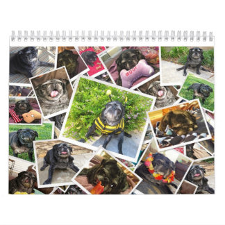 Bumblesnot 2014のカレンダー カレンダー