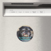 Bumblesnot magnet:バ誇りを持ったンブルヘッド マグネット (インサイチュ (食洗機))